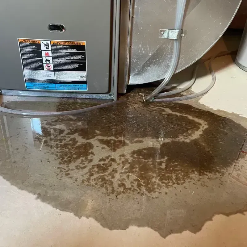 Appliance Leak Cleanup in Campbell County, SD